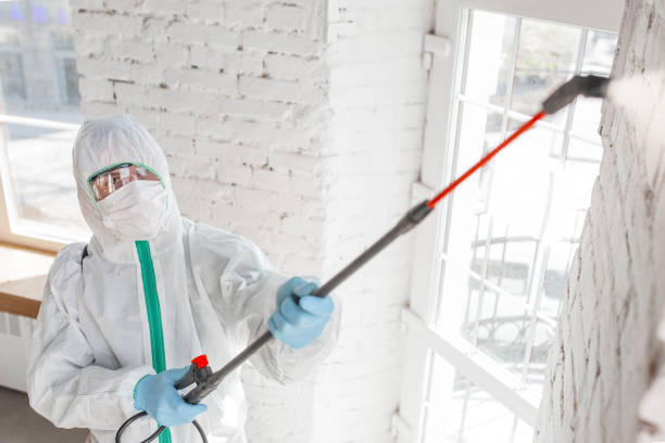 Best Mold Remediation for Healthcare Facilities  in Midland Park, NJ